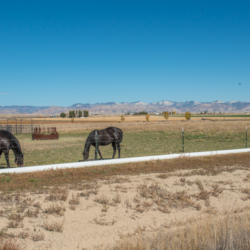 Loma Colorado