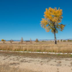 Loma Colorado