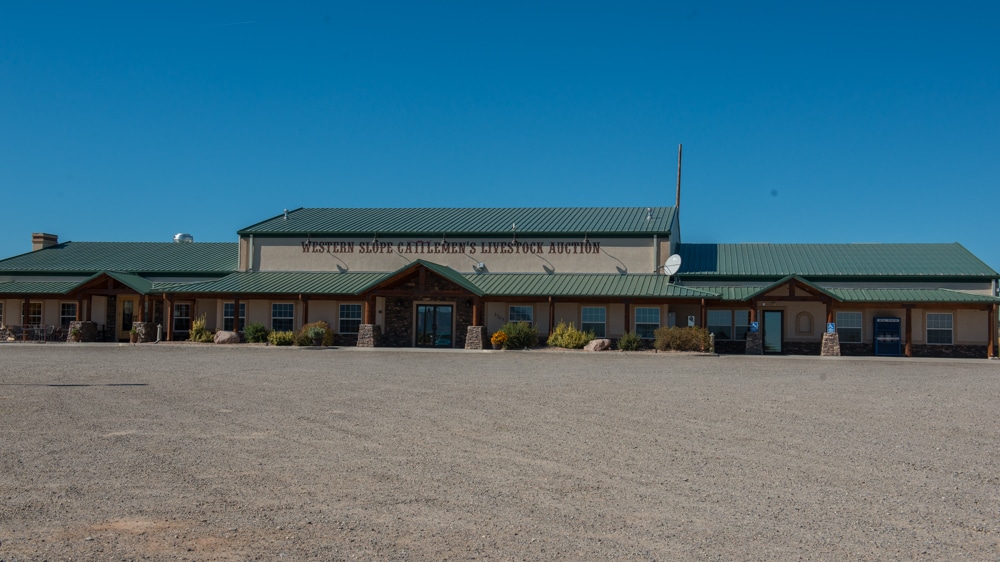 Western Slope Cattleman's Livestock Auction Loma Colorado