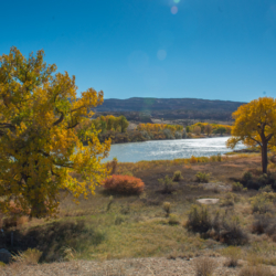 Ruby Horsethief Canyon Recreation Area Loma Colorado