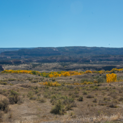 Loma Colorado