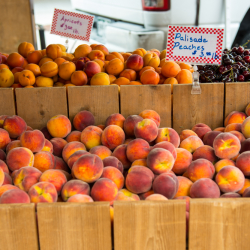 Palisade Peaches