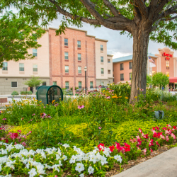 Downtown Grand Junction