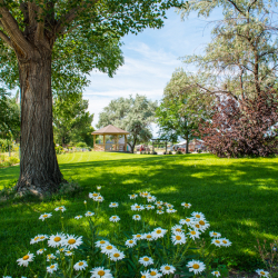 Grand Junction Historic Cross Orchards