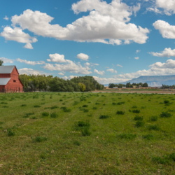 Grand Junction Homes