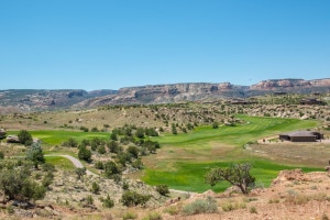Grand Junction Golf Courses