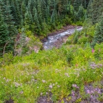 Ouray Colorado