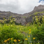 Ouray Colorado