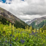 Ouray Colorado