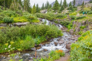 Ouray Colorado