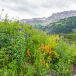 Ouray Colorado