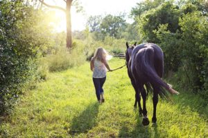 Grand Junction CO horse property for slae