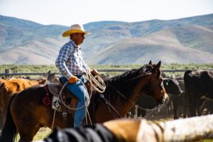 Grand Junction CO horse property for slae