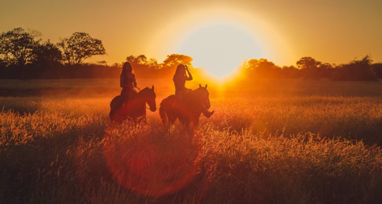 horse property in grand junction Colorado