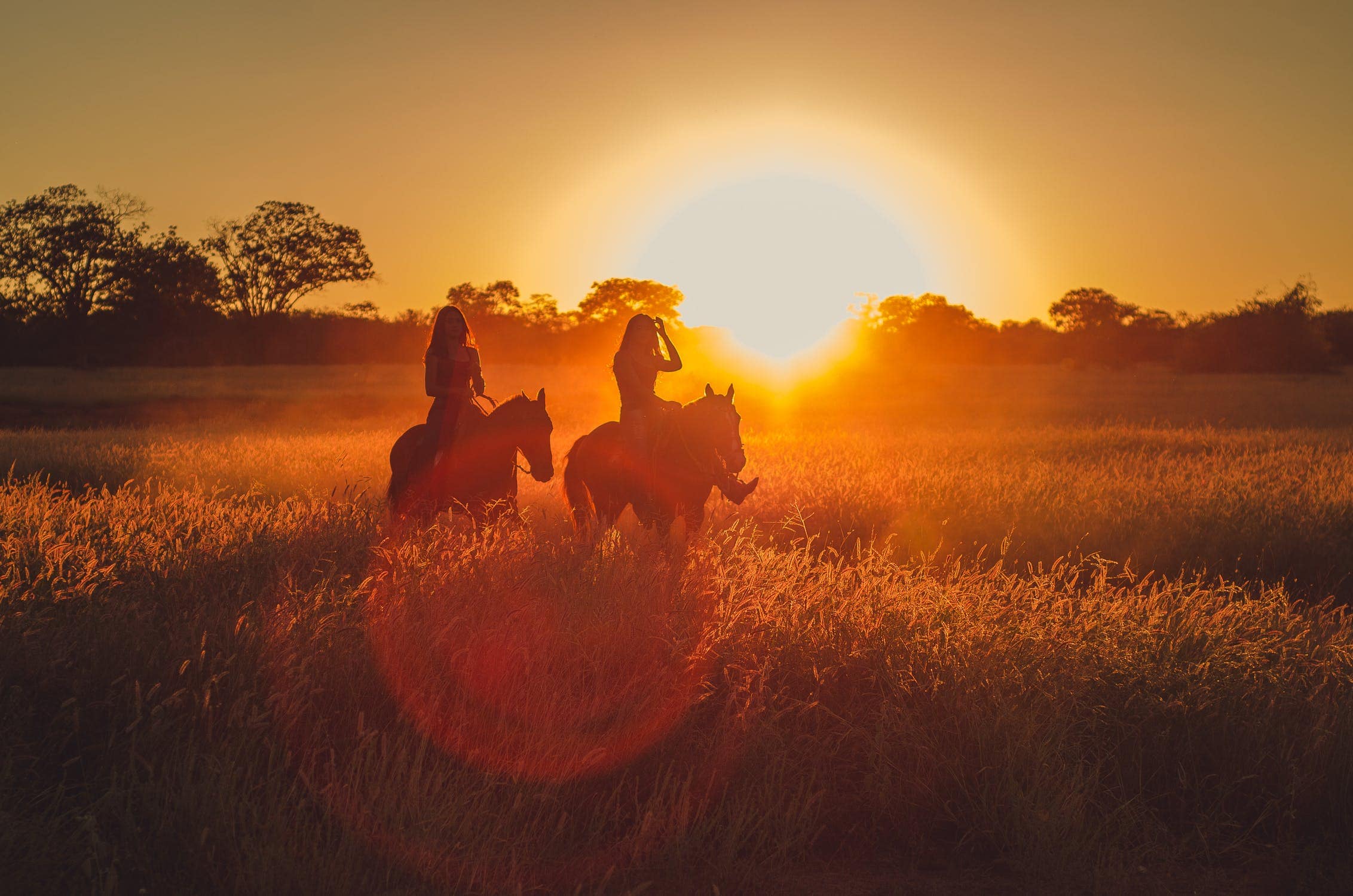 horse property in grand junction Colorado