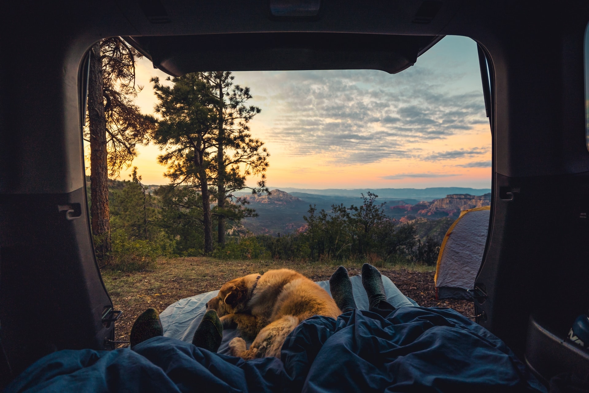 grand junction colorado camping