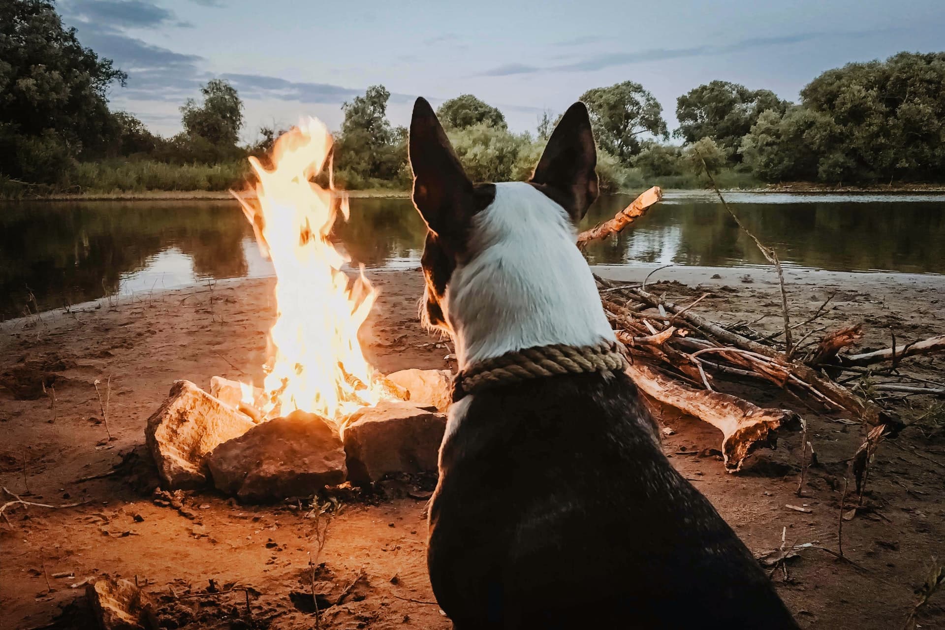 grand junction camping