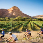 Palisade CO cycling the wine country