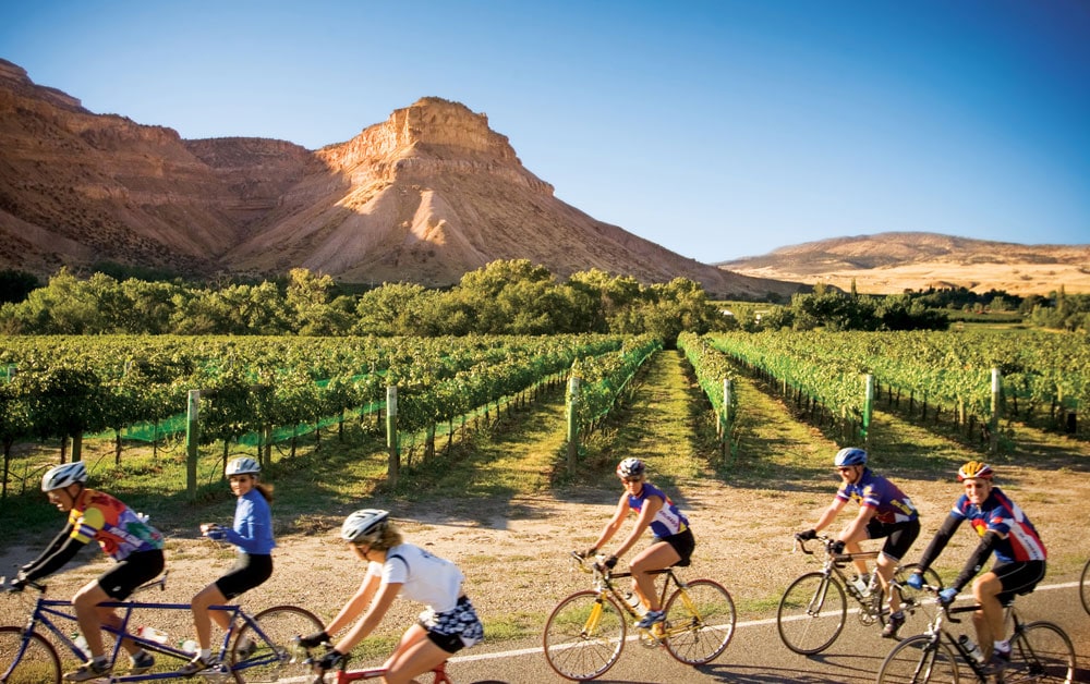 palisade colorado wine bike tour