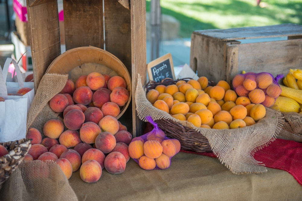 palisade farmer market