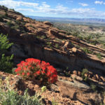 serpents trail colorado national monument