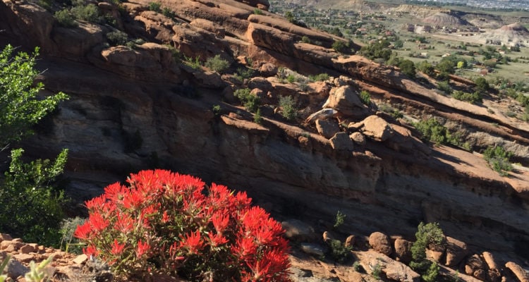 serpents trail colorado national monument