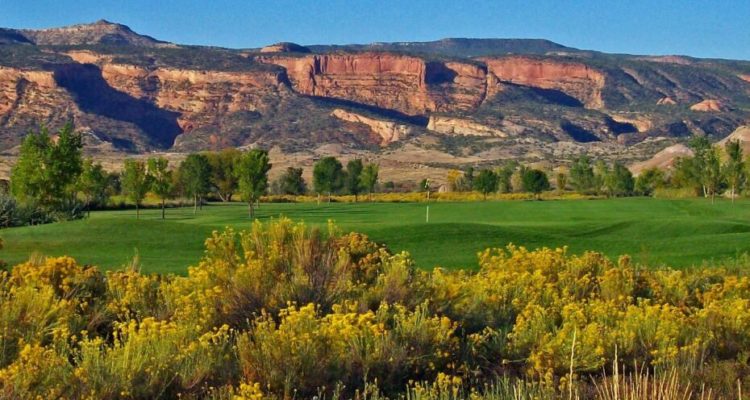 Fruita CO